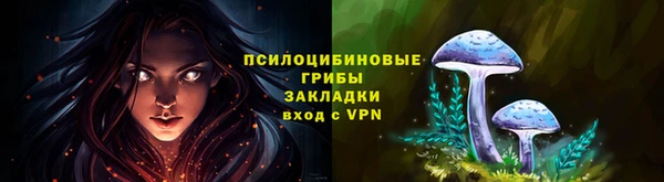 a pvp Михайлов