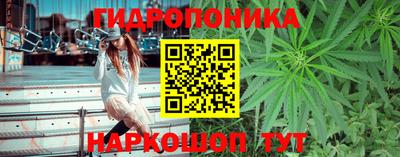 винт Канаш