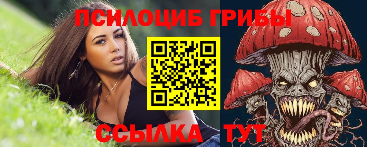 Пенза  Галлюциногенные грибы Magic Shrooms  Вход с VPN 