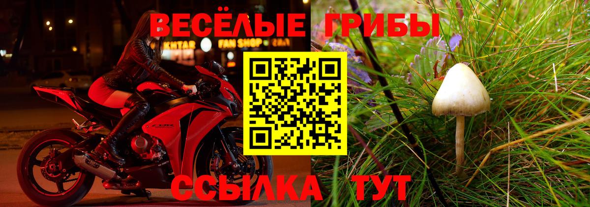 Псилоцибиновые грибы мухоморы Пенза