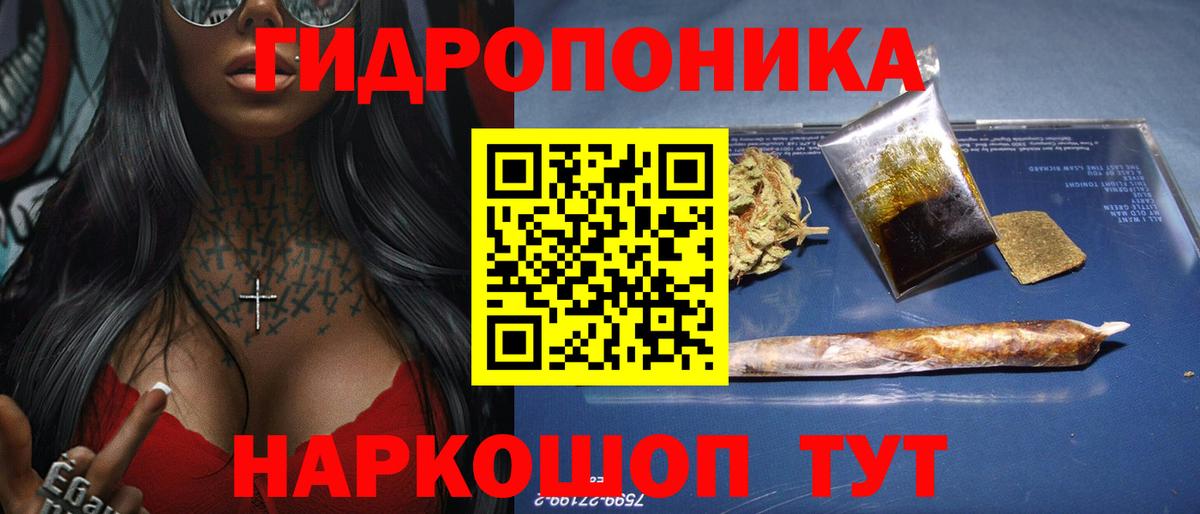 Каннабис семена  Каннабис MAZAR  Пенза  Конопля марихуана 