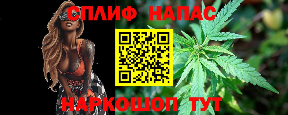 Каннабис SATIVA & INDICA Пенза